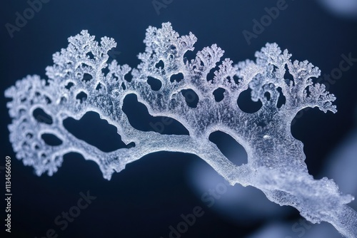 Intricate Frozen Coral Structure Captured in Macro Photography, Highlighting Nature's Beautiful Complexity and Unique Ice Formation Aesthetics in Stunning Detail