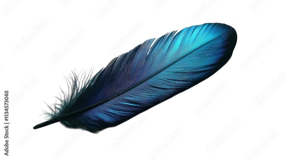 Captivating Black Feather with Iridescent Blue Sheen Set Against a White Background Perfect for Nature and Fashion Imagery. Captivating Black Feather with Iridescent Blue Sheen Set Against a White Background Perfect for Nature and Fashion Imagery.