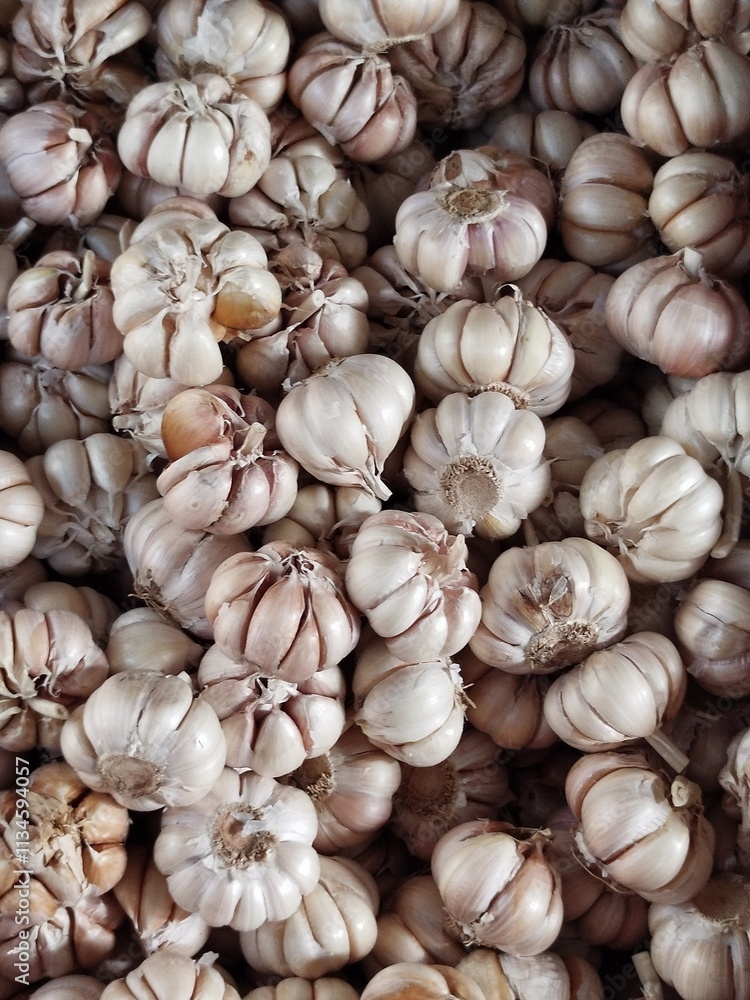 Fototapeta premium close up of garlic