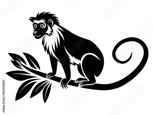Capuchin monkey vector silhouette on white background. A gibbon on a white background. Wild Animals. Monkey silhouettes isolated. Capuchin monkey and chimpanzee hanging.