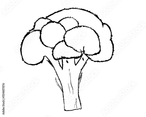 sketch of a broccoli, hand drawn illustration of broccoli, doodle of broccoli
