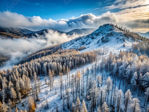 Aerial View of a Barren Landscape: Burned Mountain Forest Covered in Snow and Fog, Capturing the Stark Beauty of Nature's Resilience and Recovery photo