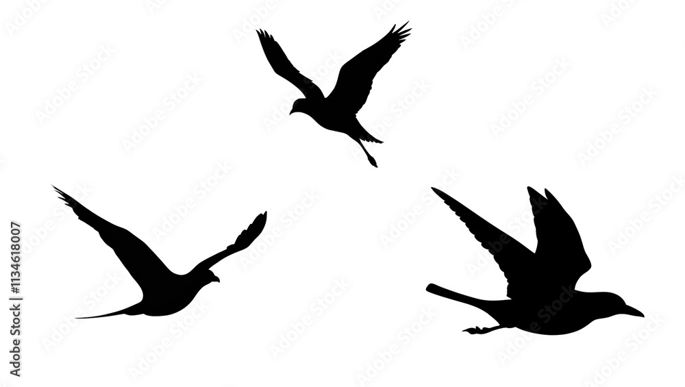 Obraz premium Flying bird icon set in silhouette minimalist design creative concept for nature enthusiasts