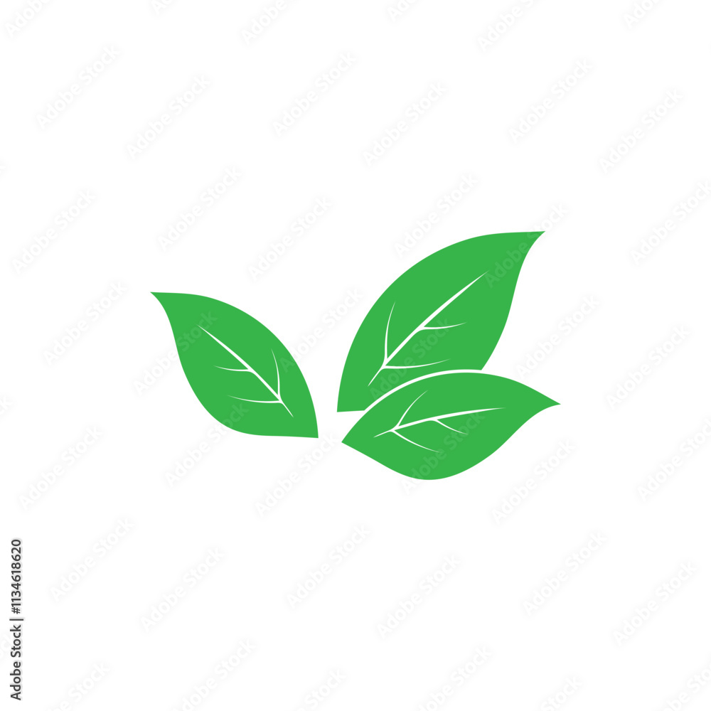 Leaf logo vector icon design template Leaf logo vector icon design template