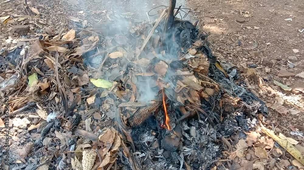 Burning waste in gardens has a negative impact on the environment because the smoke produced causes air pollution Burning waste in gardens has a negative impact on the environment because the smoke produced causes air pollution