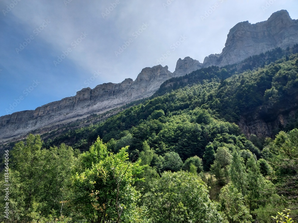 Parque Natural de Ordesa - Pirineos 2024 - 49 Parque Natural de Ordesa - Pirineos 2024 - 49
