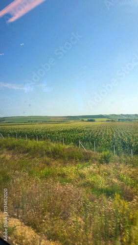 Landscape with fields