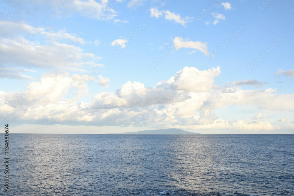 Obraz premium 伊豆の海