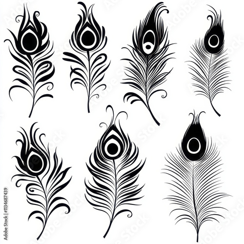 Elegant black and white peacock feather patterns with intricate designs photo