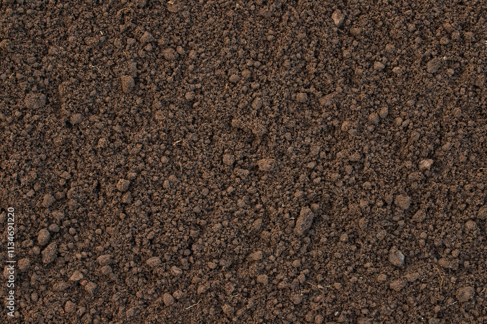 brown soil on the farm, top view. prepared humus for planting brown soil on the farm, top view. prepared humus for planting