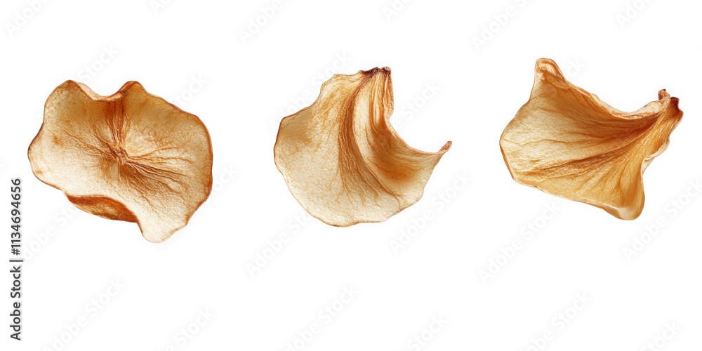 Dried Apple Slices Arranged Against Black Background, on transparent background , png Dried Apple Slices Arranged Against Black Background, on transparent background , png