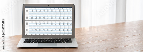 Bild auf Leinwand Accounting software on computer screen showing financial statement spreadsheets