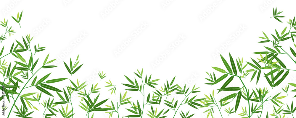 Template background natural bamboo leaves. decoration card, banner and backdrop Template background natural bamboo leaves. decoration card, banner and backdrop