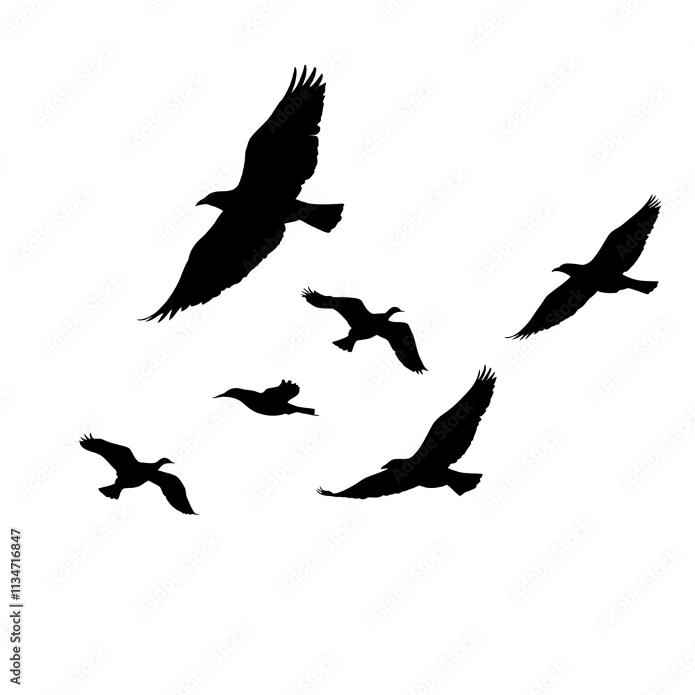 Fototapeta premium Silhouettes of five birds flying in formation against a white background.