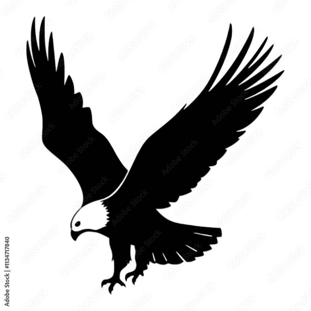 Obraz premium Silhouette of an eagle with wings spread wide in flight.