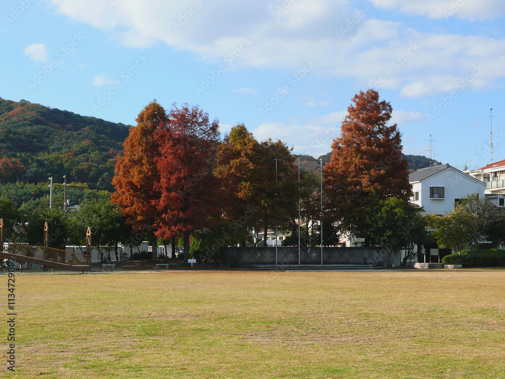 日本の晩秋の風景
