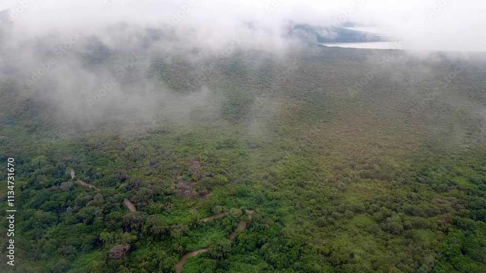 Aerial view of tropical forest in Nechisar National Park in Ethiopia near Arba Minch