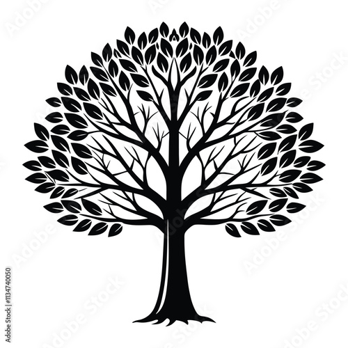 Poplar tree vector silhouette with a white background