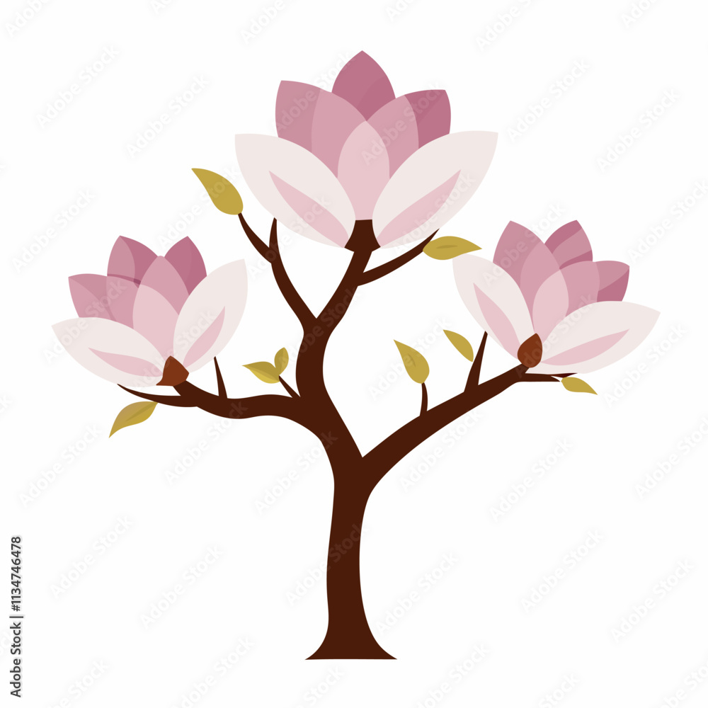 Obraz premium Magnolia flower tree vector icon with white background
