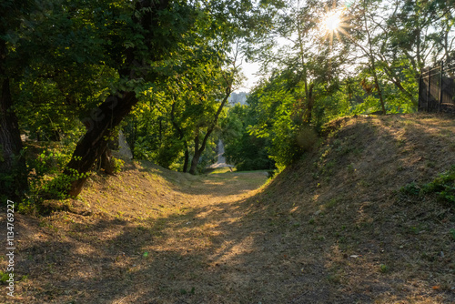 A view of a park covered with dry grass, evoking a serene and peaceful atmosphere photo