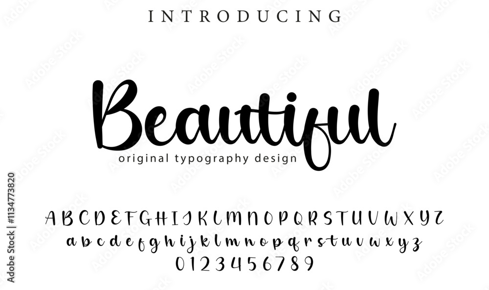 Beautiful Font Stylish brush painted an uppercase vector letters, alphabet, typeface Beautiful Font Stylish brush painted an uppercase vector letters, alphabet, typeface