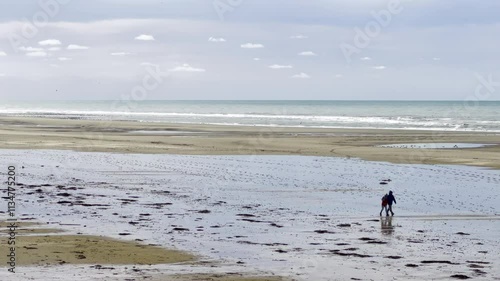 Peaceful Stroll on the Beach of Dannes in Autumn, Featuring a Wide Sandy Shore, Reflective Tidal Pools, and a Vast Ocean Under a Soft Cloudy Sky