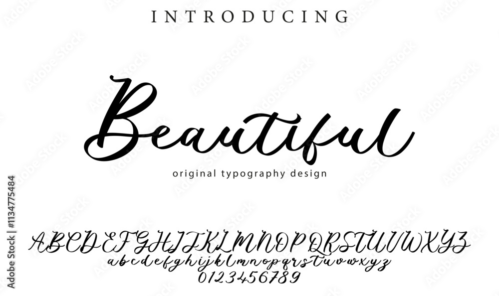 Beautiful Font Stylish brush painted an uppercase vector letters, alphabet, typeface Beautiful Font Stylish brush painted an uppercase vector letters, alphabet, typeface