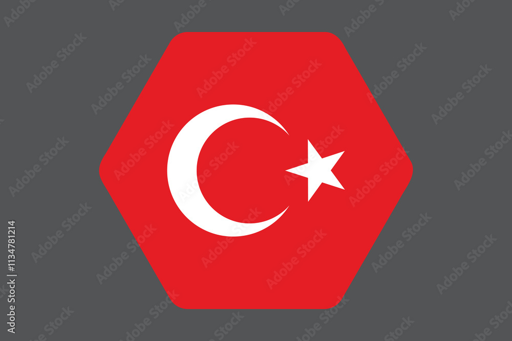 Turkey flag sign, Turkey flag vector graphic, Turkey country flag is a symbol of freedom, National Turkey flag, vector illustration
Turkey flag sign, Turkey flag vector graphic, Turkey country flag is a symbol of freedom, National Turkey flag, vector illustration