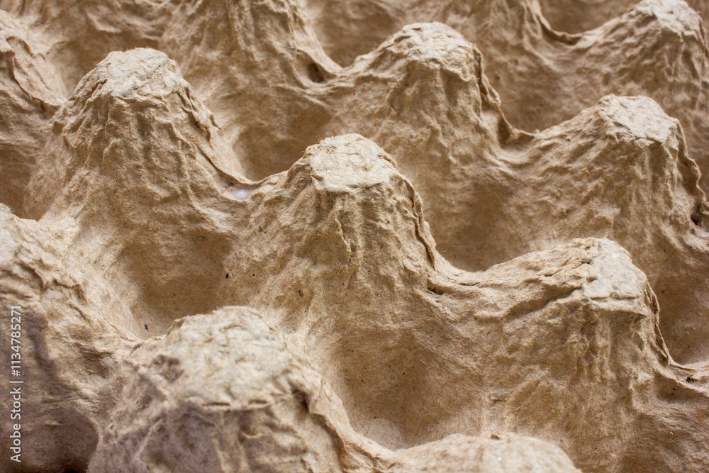Obraz premium Close up of an empty textured egg carton. Background and texture.