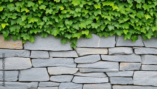 A textured stone wall topped with vibrant green ivy leaves, creating a natural and rustic aesthetic.