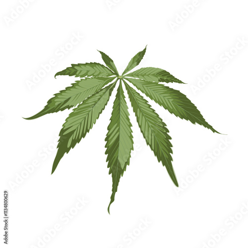 Cannabis leaf. Marijuana legalize symbol.