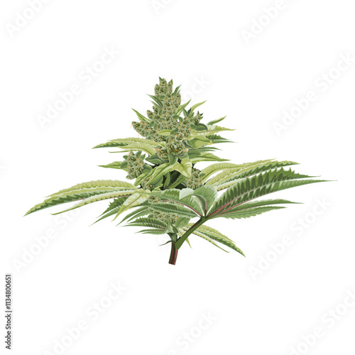 Cannabis Bud Flower. Marijuana legalize symbol.