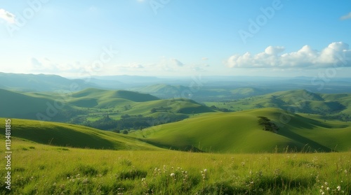 Serene Panorama of Rolling Green Hills and Lush Meadows Under a Clear Sky