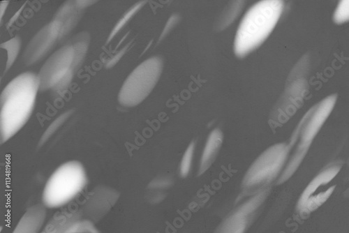 Light and shadow of the leaves