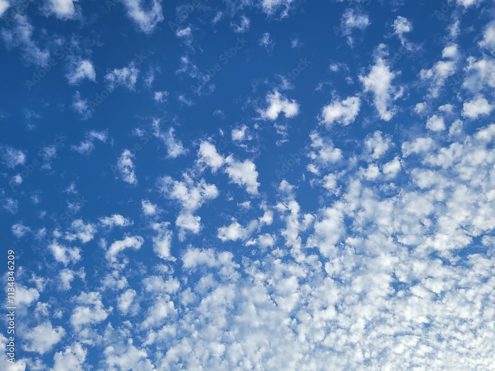 Blue sky full screen background with fluffy white cloudlets or cumulus cloud Blue sky full screen background with fluffy white cloudlets or cumulus cloud