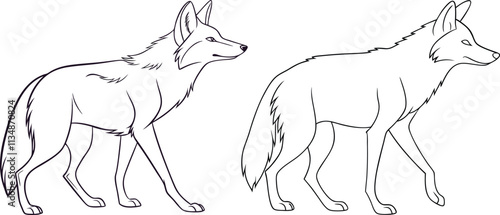 Jackal line art vector and black and white drawing illustration design