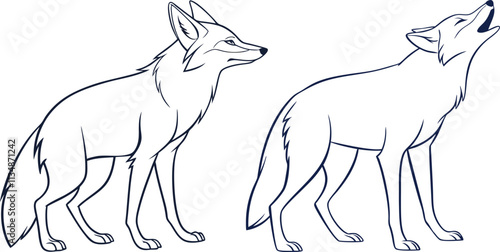 Coyote line art vector and black and white drawing illustration design