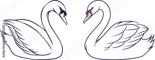 Swan line art vector and black and white drawing illustration design