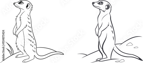 Meerkat line art vector and black and white drawing illustration design