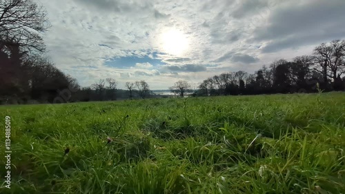 Vue sur le marais de Brière (depuis une prairie : plan 2) en timelapse