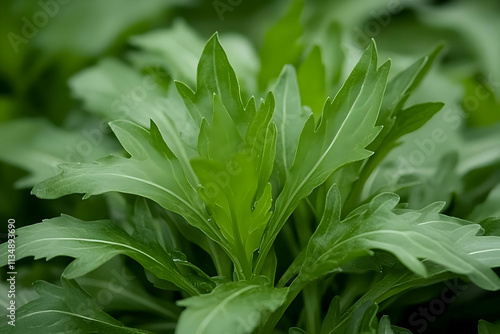Wallpaper Mural Vibrant Green Plant Macro Photography Torontodigital.ca