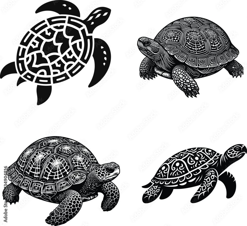 Fototapeta premium Hand-drawn turtle silhouette vector illustration on a white background