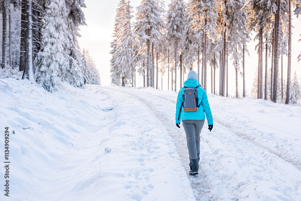 Eastern Sudetes, Young woman hikes on a mountain snow-covered trail, walks on white snow through the forest and looks at the snow-covered trees, winter landscape in the mountains.