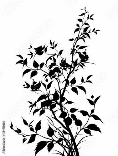 Tree with many branches and leaves is shown in black and white. The tree is tall and has a lot of leaves, making it look very full and lush