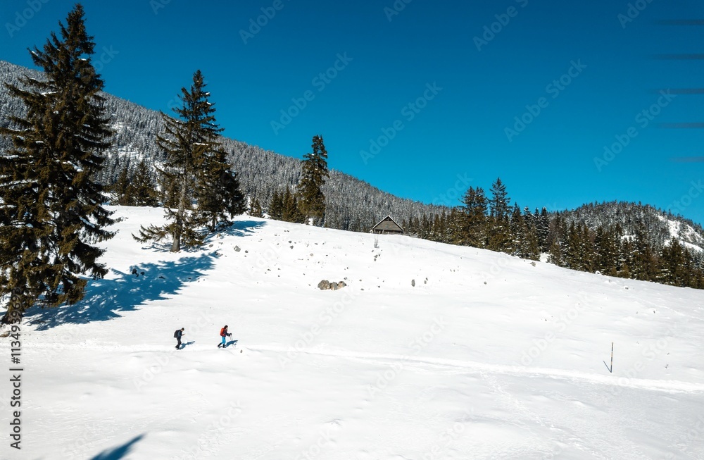 Under a brilliant blue sky, two adventurers trek over a pristine blanket of snow in Piatra Craiului, surrounded by majestic mountains and evergreen trees, experiencing the beauty of winter Under a brilliant blue sky, two adventurers trek over a pristine blanket of snow in Piatra Craiului, surrounded by majestic mountains and evergreen trees, experiencing the beauty of winter