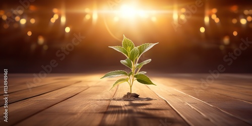 Close up of a seedling growing out of a wooden dance floor with dancers far off in the background and a beautiful sunrise shining scene photo