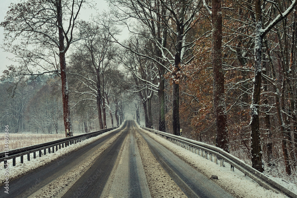 Road in Winter - Street - Snow - Winter - Cold - Background - Landscape - Country Road in Winter - Street - Snow - Winter - Cold - Background - Landscape - Country