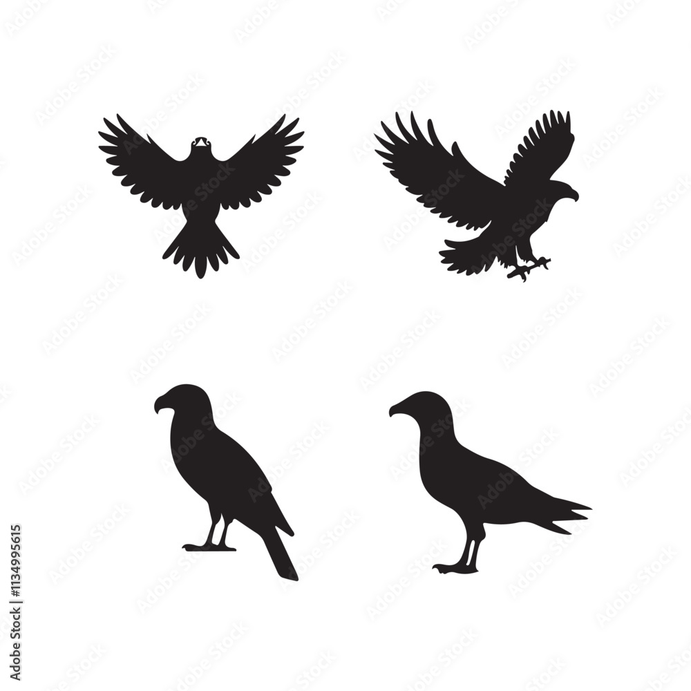 Fototapeta premium bird silhouette vector arts and design