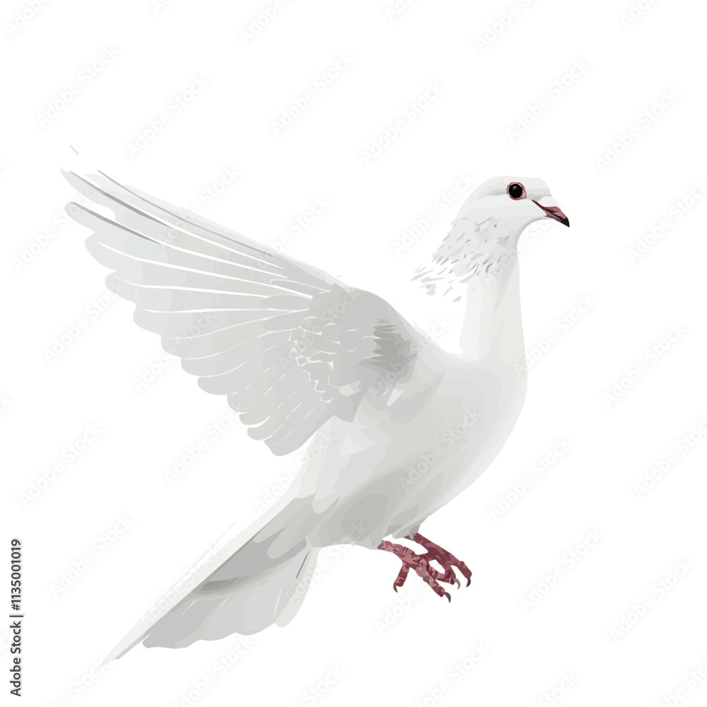 Flat vector dove, isolated on a white background. Flat vector dove, isolated on a white background.