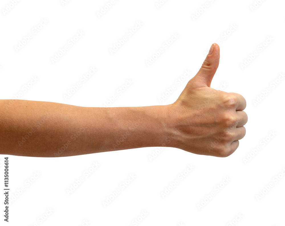 Isolated female hand gesturing thumbs up. Isolated female hand gesturing thumbs up.